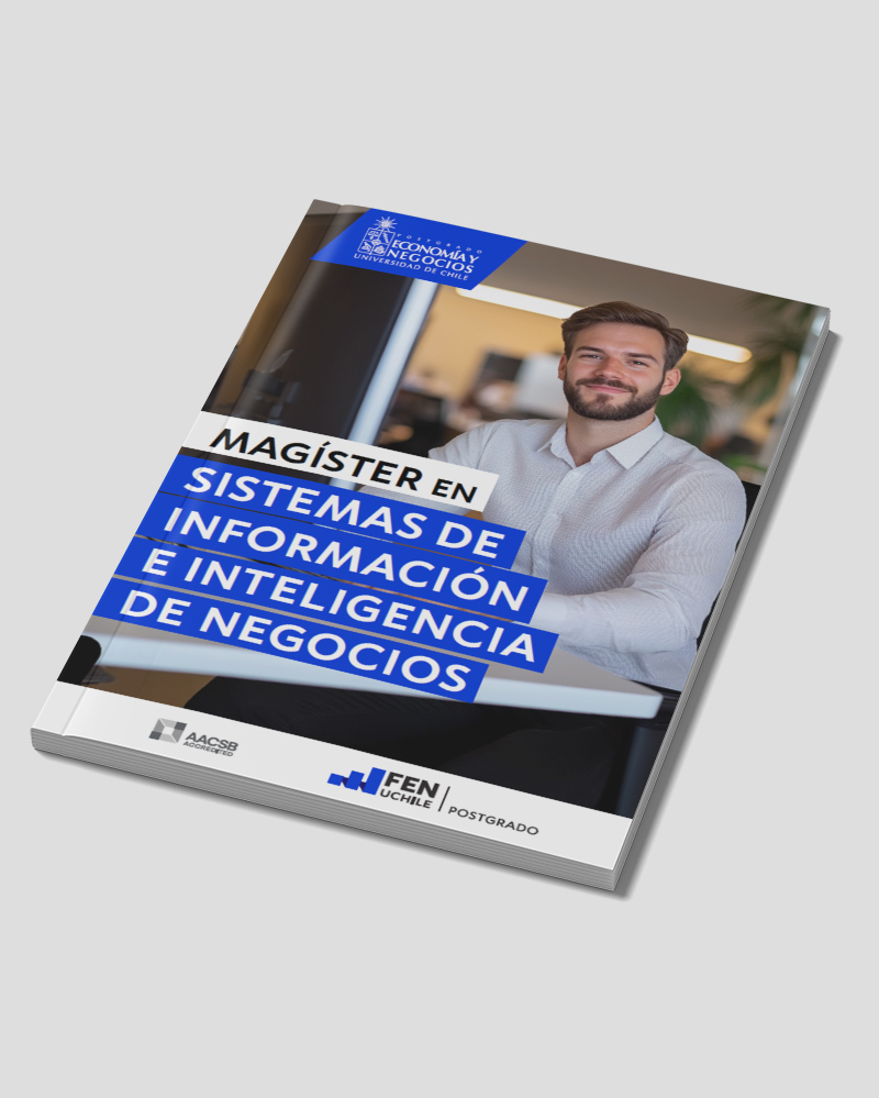 mockup_folleto_msiin